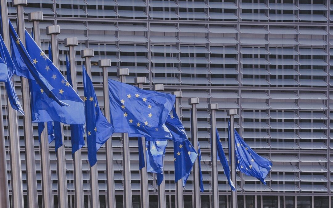 Horyzont Europa – szansa na pozyskanie partnerów do projektów międzynarodowych